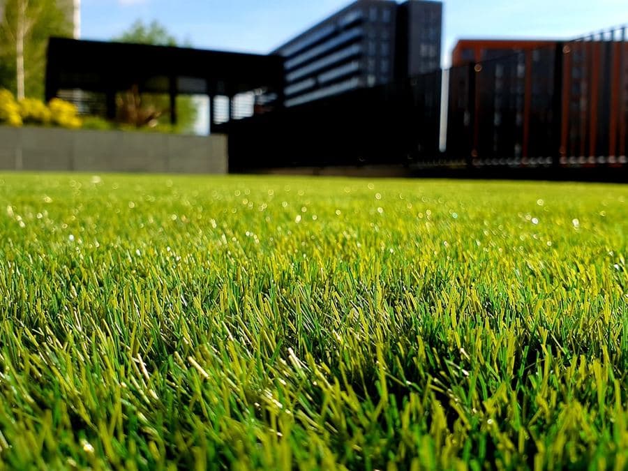 A freshly cut lawn beside a modern building